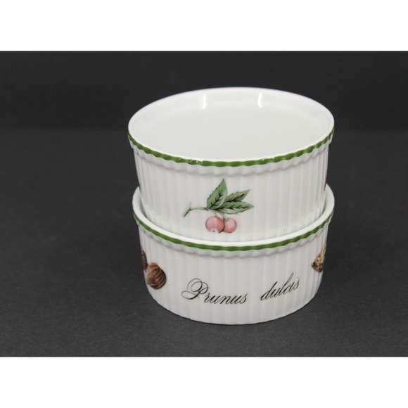 Apilco Other - Apilco Elysian Garden Mini Ramekins Set 2 French Porcelain White